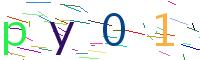Verify Code
