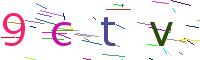 Verify Code