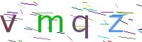 Verify Code