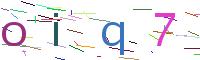 Verify Code