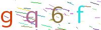 Verify Code