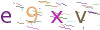 Verify Code