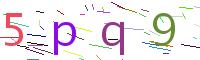 Verify Code