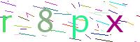 Verify Code