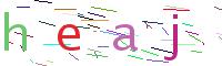 Verify Code