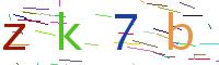 Verify Code