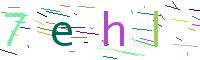 Verify Code