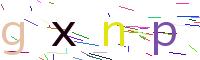 Verify Code
