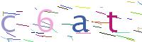 Verify Code
