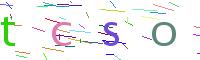 Verify Code