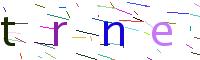Verify Code