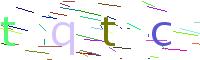 Verify Code