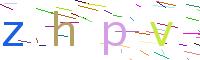 Verify Code