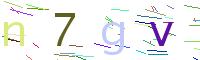 Verify Code