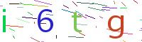 Verify Code