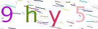 Verify Code
