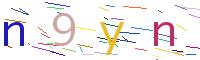 Verify Code