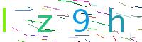 Verify Code