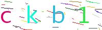 Verify Code