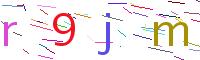 Verify Code