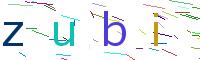 Verify Code
