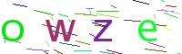 Verify Code