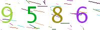 Verify Code