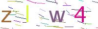 Verify Code