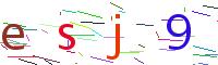 Verify Code
