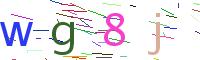 Verify Code