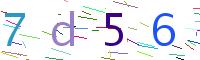 Verify Code