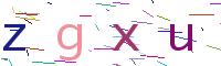 Verify Code