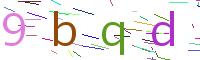 Verify Code