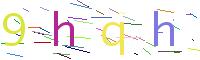 Verify Code