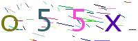 Verify Code