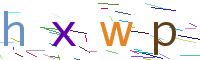 Verify Code