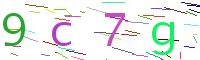 Verify Code