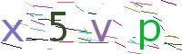 Verify Code