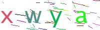 Verify Code