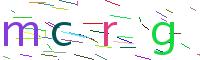 Verify Code