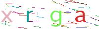 Verify Code