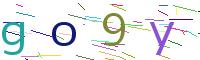 Verify Code
