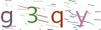 Verify Code