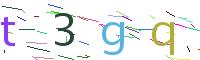 Verify Code