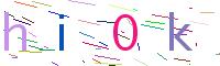 Verify Code