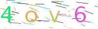 Verify Code