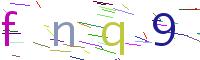 Verify Code
