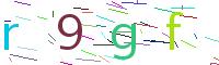 Verify Code