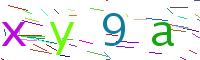 Verify Code