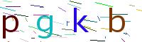Verify Code
